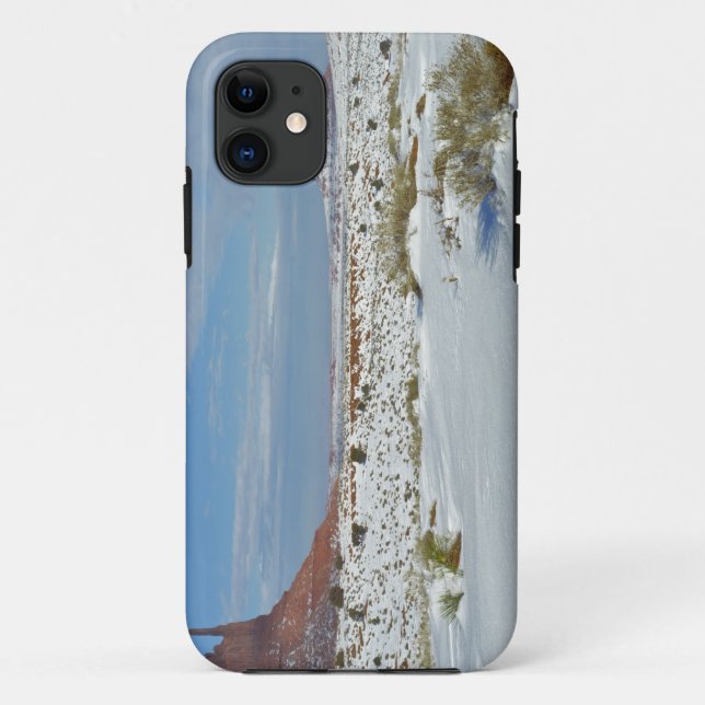 USA, Utah, Monument Valley. Sagebrush shows Case-Mate iPhone Case (Back)
