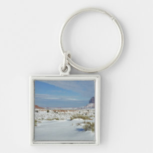 USA, Utah, Monument Valley. Sagebrush shows Key Ring