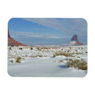 USA, Utah, Monument Valley. Sagebrush shows Magnet