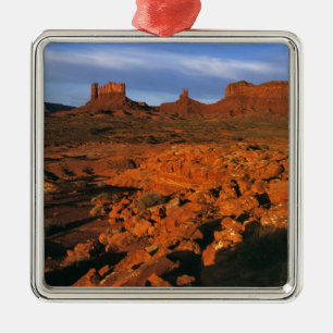 USA, Utah, Monument Valley. Sunset light Metal Tree Decoration