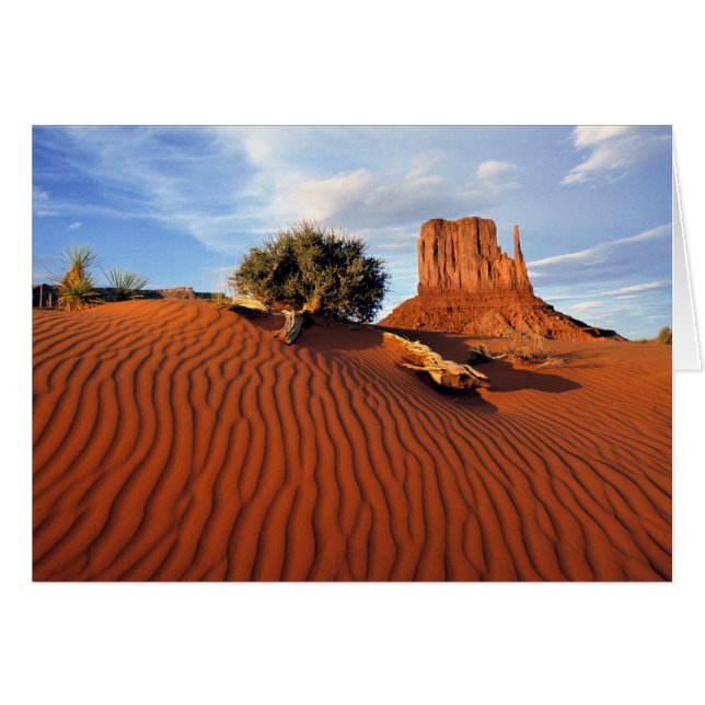 USA, Utah, Monument Valley. Wind creates (Front Horizontal)