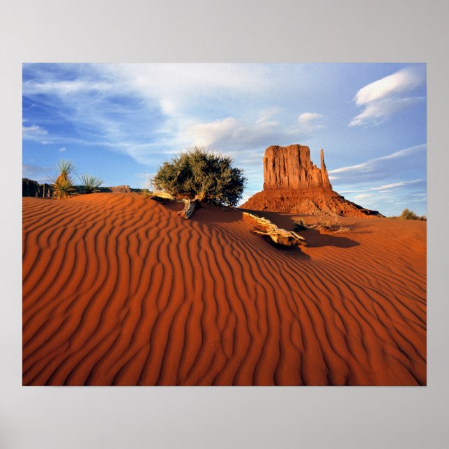 USA, Utah, Monument Valley. Wind creates Poster (Front)