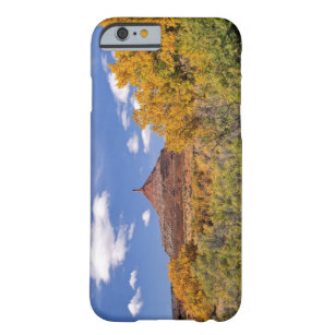 USA, Utah, near Canyonlands National Park on Barely There iPhone 6 Case