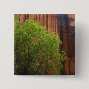 USA, Utah, Paria Canyon- Vermillion Cliffs 15 Cm Square Badge