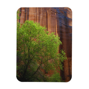 USA, Utah, Paria Canyon- Vermillion Cliffs Magnet