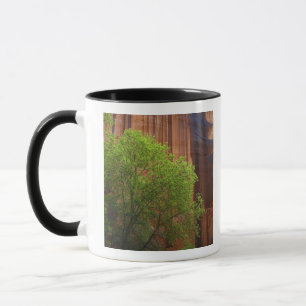 USA, Utah, Paria Canyon- Vermillion Cliffs Mug