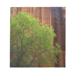 USA, Utah, Paria Canyon- Vermillion Cliffs Notepad