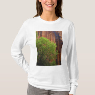 USA, Utah, Paria Canyon- Vermillion Cliffs T-Shirt