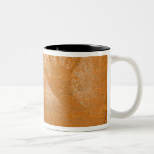 USA, Utah, Pictograph Hand-prints on sandstone, Two-Tone Coffee Mug