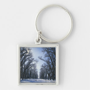 USA, Utah, Salt Lake City, Liberty Park, Key Ring