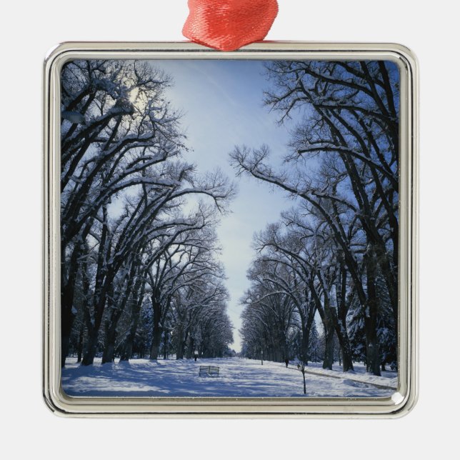 USA, Utah, Salt Lake City, Liberty Park, Metal Ornament (Front)