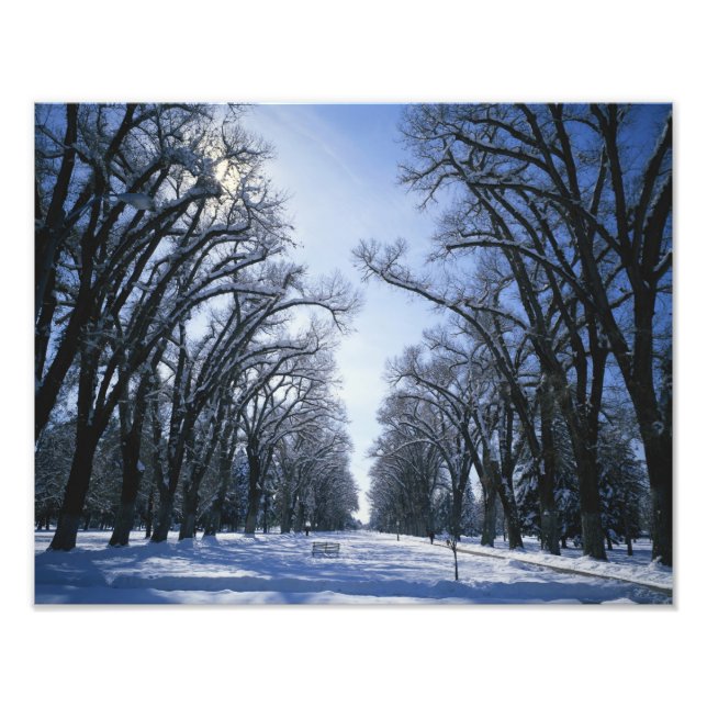 USA, Utah, Salt Lake City, Liberty Park, Photo Print (Front)