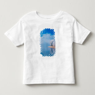 USA, Utah, Soldier Hollow, Near the 2002 Toddler T-Shirt