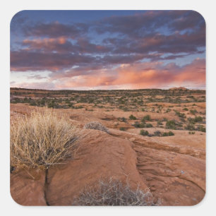 USA, Utah. Sunset on Poison Spider Mesa near Square Sticker