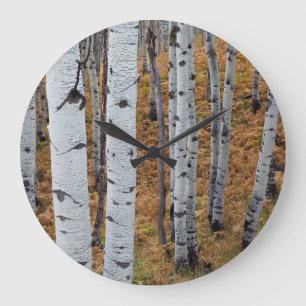 USA, Utah, Uinta-Wasatch-Cache National Forest 2 Large Clock