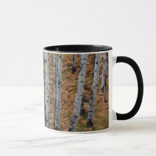 USA, Utah, Uinta-Wasatch-Cache National Forest 2 Mug