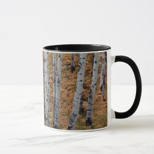 USA, Utah, Uinta-Wasatch-Cache National Forest 2 Mug (Right)