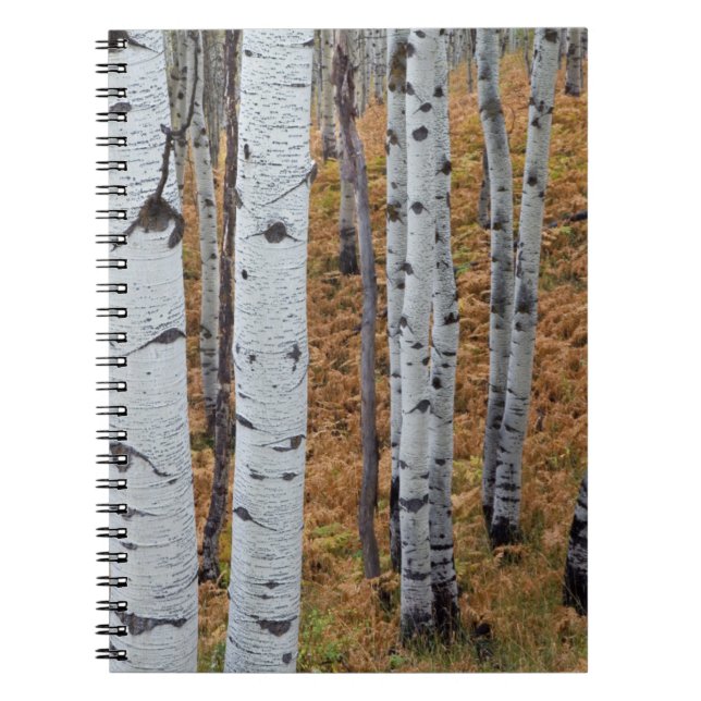 USA, Utah, Uinta-Wasatch-Cache National Forest 2 Notebook (Front)
