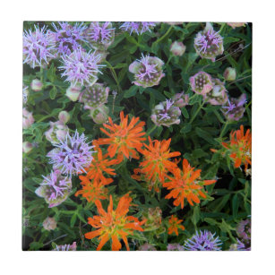 USA, Utah, Uinta-Wasatch-Cache National Forest 3 Ceramic Tile