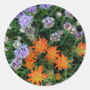 USA, Utah, Uinta-Wasatch-Cache National Forest 3 Classic Round Sticker