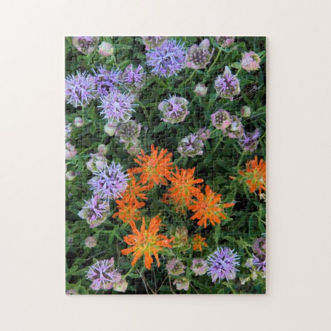 USA, Utah, Uinta-Wasatch-Cache National Forest 3 Jigsaw Puzzle (Vertical)