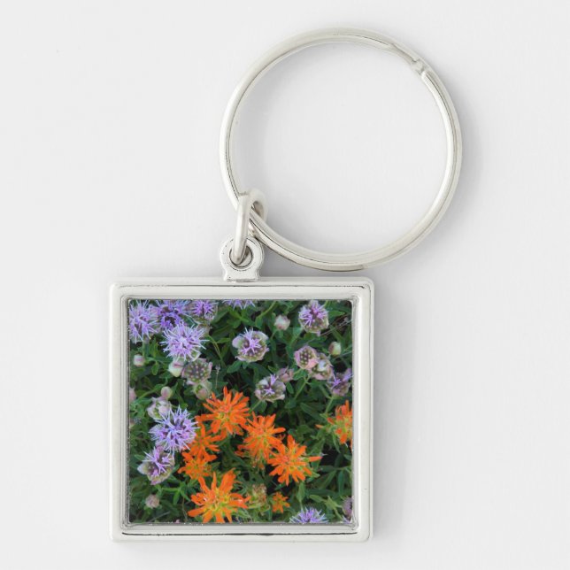 USA, Utah, Uinta-Wasatch-Cache National Forest 3 Key Ring (Front)