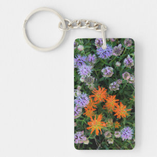 USA, Utah, Uinta-Wasatch-Cache National Forest 3 Key Ring