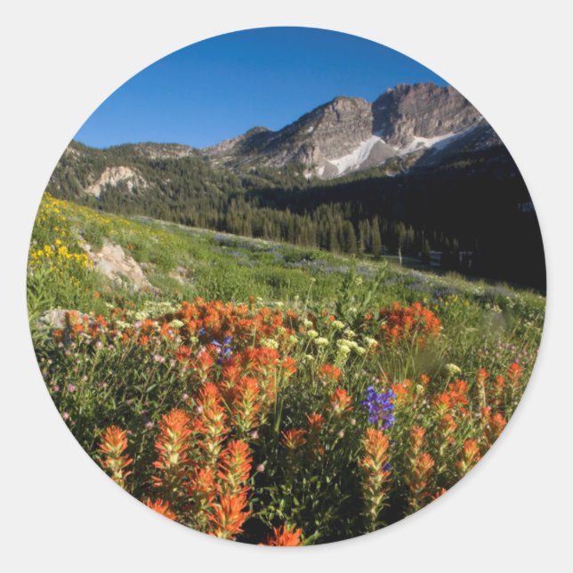 USA, Utah, Uinta-Wasatch-Cache National Forest Classic Round Sticker (Front)