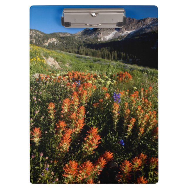 USA, Utah, Uinta-Wasatch-Cache National Forest Clipboard (Front)