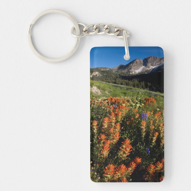 USA, Utah, Uinta-Wasatch-Cache National Forest Key Ring (Front)