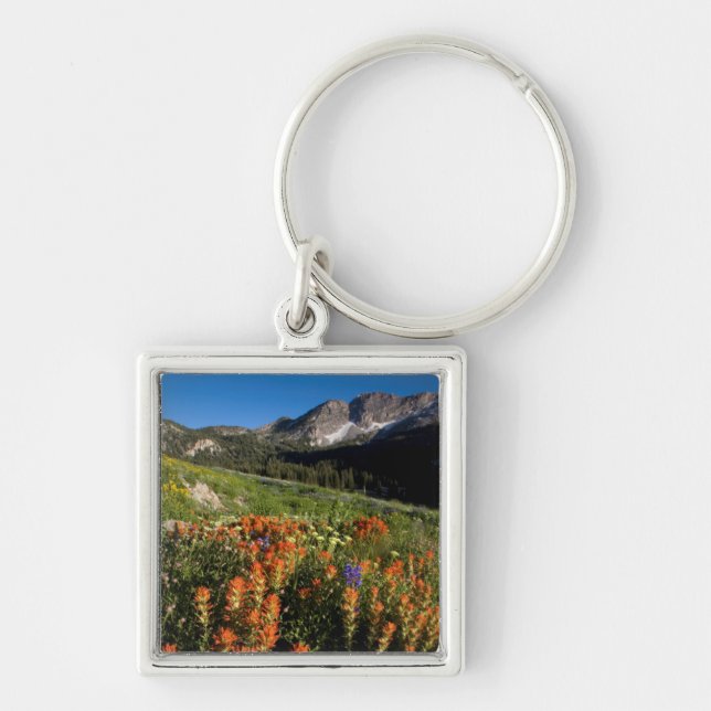USA, Utah, Uinta-Wasatch-Cache National Forest Key Ring (Front)