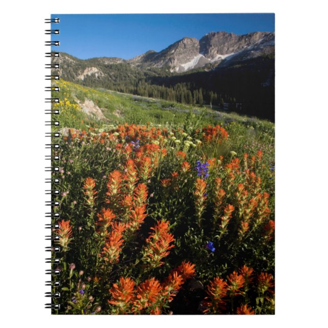 USA, Utah, Uinta-Wasatch-Cache National Forest Notebook (Front)