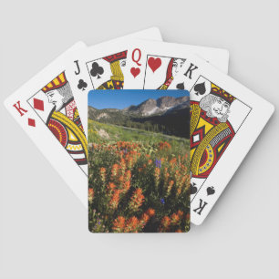 USA, Utah, Uinta-Wasatch-Cache National Forest Playing Cards
