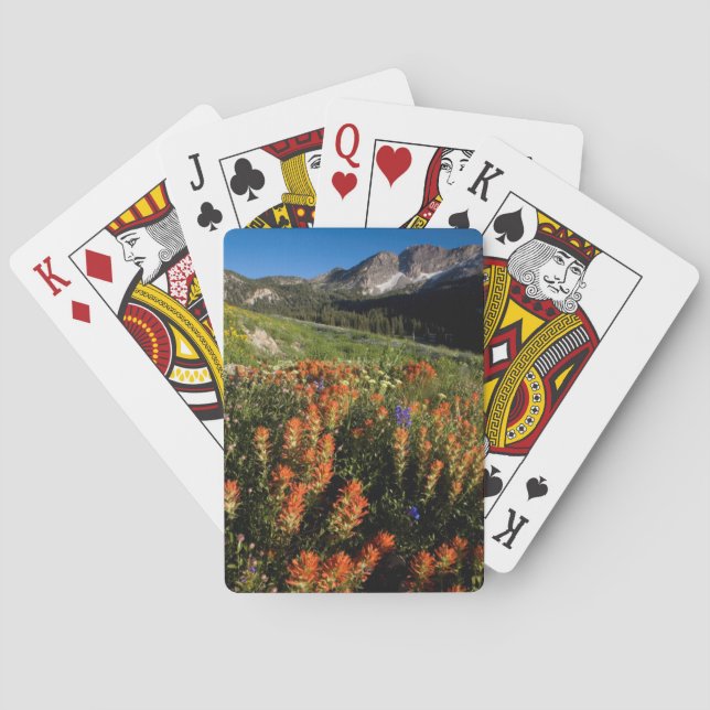 USA, Utah, Uinta-Wasatch-Cache National Forest Playing Cards (Back)
