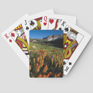 USA, Utah, Uinta-Wasatch-Cache National Forest Playing Cards