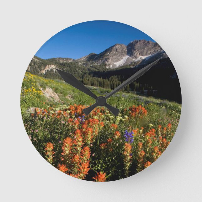 USA, Utah, Uinta-Wasatch-Cache National Forest Round Clock (Front)