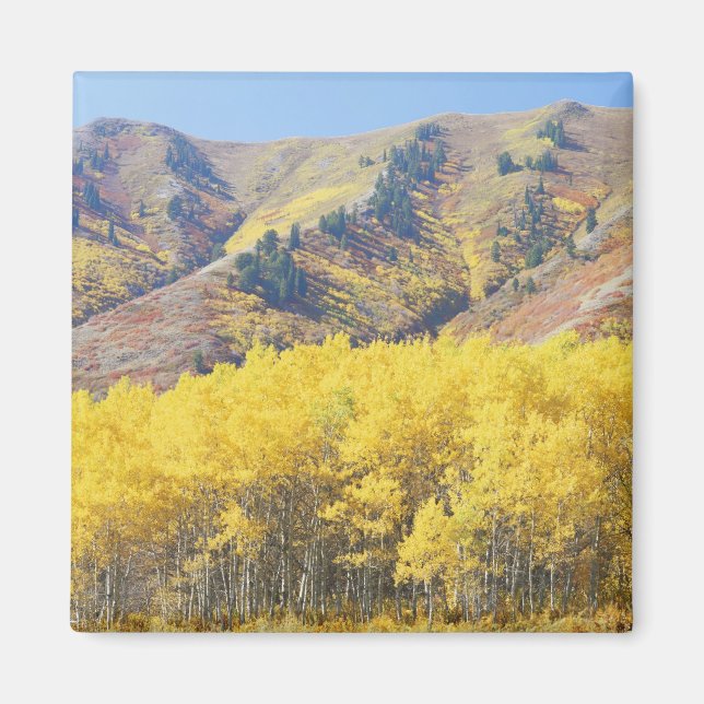 USA, Utah, Wasatch-Cache National Forest, Magnet (Front)