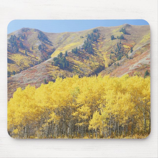 USA, Utah, Wasatch-Cache National Forest, Mouse Pad (Front)