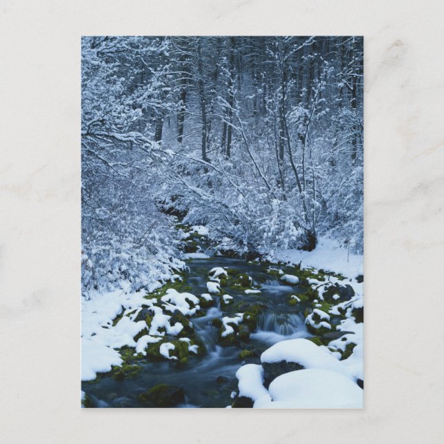 USA, Utah, Wasatch-Catch National Forest, Postcard (Front)