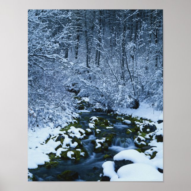 USA, Utah, Wasatch-Catch National Forest, Poster (Front)