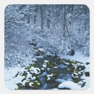 USA, Utah, Wasatch-Catch National Forest, Square Sticker