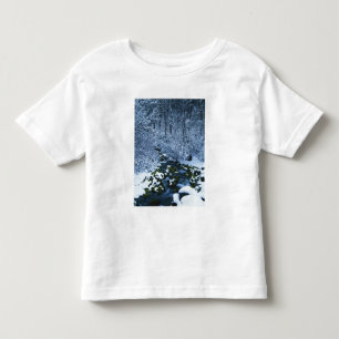 USA, Utah, Wasatch-Catch National Forest, Toddler T-Shirt
