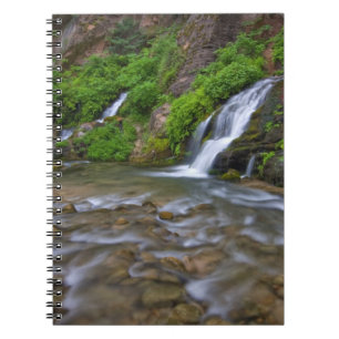 USA, Utah, Zion National Park. Big Springs in Notebook