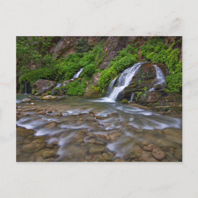 USA, Utah, Zion National Park.  Big Springs in Postcard (Front)