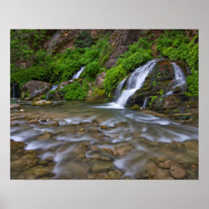 USA, Utah, Zion National Park. Big Springs in Poster