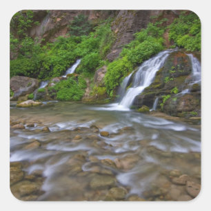 USA, Utah, Zion National Park. Big Springs in Square Sticker