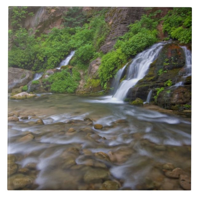 USA, Utah, Zion National Park.  Big Springs in Tile (Front)
