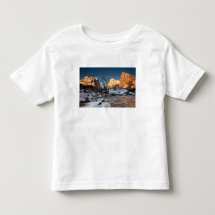 USA, Utah, Zion National Park. Mountain sunrise Toddler T-Shirt