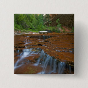 USA, Utah, Zion National Park. Scenic from 15 Cm Square Badge
