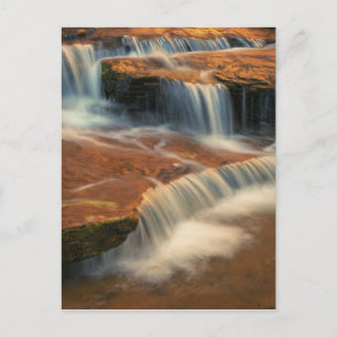 USA, Utah, Zion National Park. Scenic from 2 Postcard